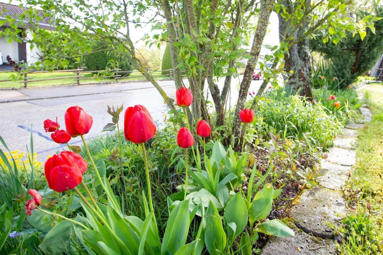 Schoene Und Helle Ferienwohnung In Pfaffenweiler Villingen-Schwenningen Eksteriør billede