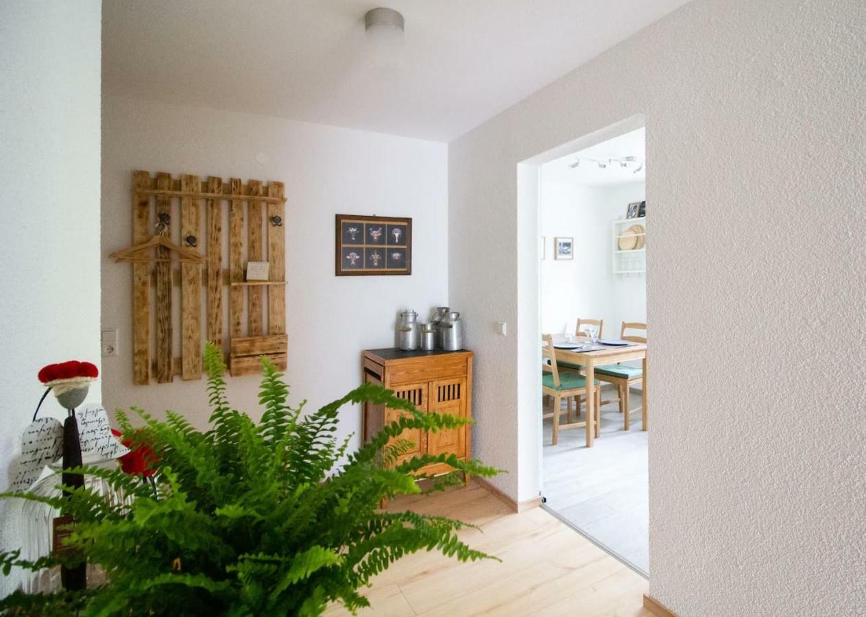 Schoene Und Helle Ferienwohnung In Pfaffenweiler Villingen-Schwenningen Eksteriør billede